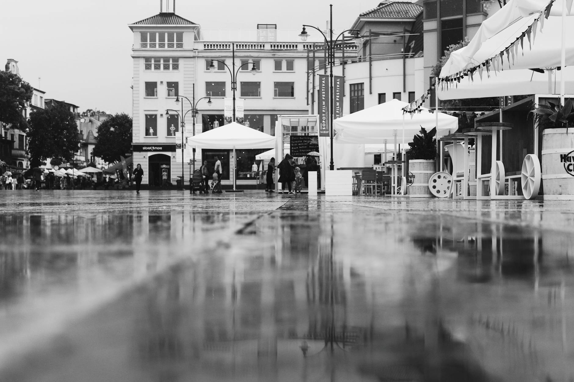 Rzeszów: Kultura na żywo i noc muzeów – co czeka mieszkańców?